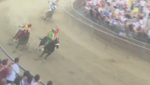 Il Gran premio del Mezzosangue