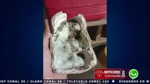 Hallazgo en Diriamba de un molar de un ejemplar de mastodonte de la era del hielo.