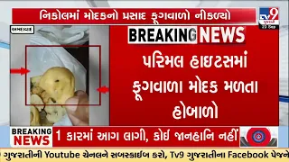 Ahmedabad Nikol: Fungus Found in Modak Prasad, Customers Create Uproar at Sweet Shop | TV9Gujarati