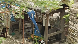 Florist | A Florist Living with Flowers: The Floral Chozuya Blooming at Fukushima Hachimangu Shri...