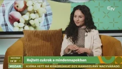 Rejtett cukrok a mindennapokban – Mozaik