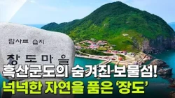한눈에 반했~섬(島): 전남광주통합특별시 신안군 장도 [2TV 생생정보] | KBS 261019 방송