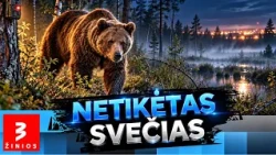 Netikėtas radinys miške: naktinis kadras iš Šiaulių rajono sukėlė klausimų