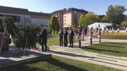 Dan brigade Našice