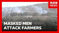Jewish settlers attack Palestinian olive farmers in West Bank | BBC News