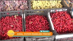 Zoğalın 10 faydası - Hansı xəstəliklərdə yemək lazımdır?