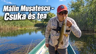 Mălin Mușatescu: Csuka és tea, Holbina