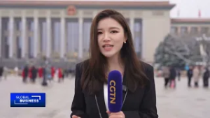 Decoding China’s institutional opening-up initiatives