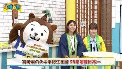 This Month Is Wood Use Promotion Month! Let's Use Miyazaki Cedar! "Miyazaki Prefecture Environmen...