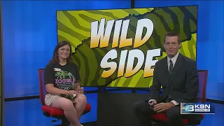 Wild Side: What is Painted Dog Day?