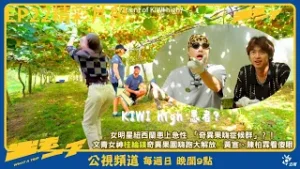 《出去一下》桂綸鎂在紐西蘭奇異果園嗨跑大解放｜公視大型尋寶旅行綜藝節目 What a trip