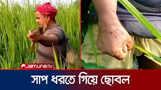 নাটোরে চায়না দুয়ারী জালে আটকা সাপ, ধরতে গিয়ে ছোবল খেলেন সাপুড়ে | Snake Rescue | Natore | Jamuna TV