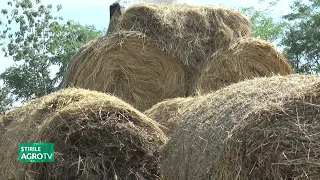 Dâmbovița, sufficient winter fodder stocks 09/10/2026
