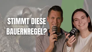 Why are we people from the Mostviertel complaining again? Update from Home Episode 3