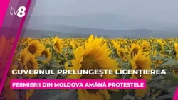 Licențierea importurilor de cereale din Ucraina ar putea fi prelungită
