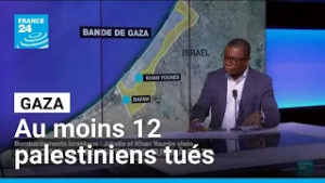 Guerre à Gaza : des nouvelles frappes israéliennes ont fait 12 morts • FRANCE 24