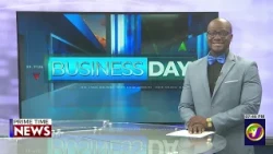 Young Entrepreneurs Association Of Jamaica Urges Phased Water Rate Hike  | TVJ News
