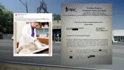 Nashville vet failed required licensing exam at least 10 times, records show
