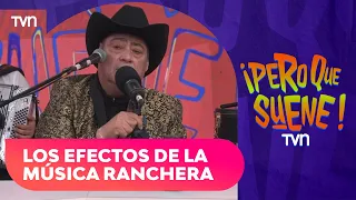 "The kids just perk up": What the music of Los Charros de Luchito y Rafael inspires