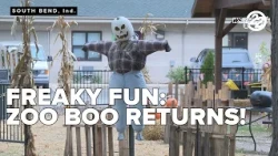 Boo at the Zoo