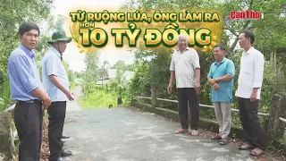 Turning Rice Fields into a 10 Billion VND Fortune | CT-TDT
