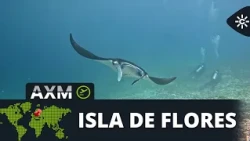 Andalucía Around the World | Diving with Davinia from Almeria in the waters of the Komodo archipe...