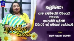 හමුවීමක්? සෑම හමුවීමක්ම ජීවිතයට පාඩමක්, අත්දැකීම් තුළින්ම නිවැරදි දේ පමණක් තෝරාගමු