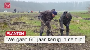 Na massale Essentaksterfte plant het Flevo-Landschap nieuwe bomen en struiken aan | Omroep Flevoland