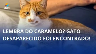 Remember Caramelo? 🐱 The missing cat has been found!
