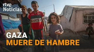 Gaza | 70% of children under two do not eat regularly | RTVE News