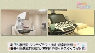 Fukuda Hospital Breast Center Part 2 | Basic Knowledge About Breast Cancer