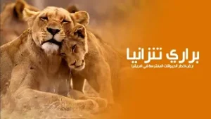 براري تنزانيا أرض أخطر وأقوى الحيوانات المفترسة الفتاكة في أفريقيا | كويست عربية Quest Arabiya