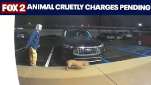 Dogs removed after owner caught beating one on camera