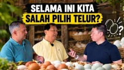 Telur Omega Bikin Bisulan!? Peternak Ini Punya Solusinya!