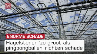 Hagelstenen 'zo groot als pingpongballen' richten schade aan | Omroep Flevoland