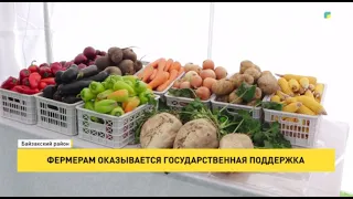 Government support for farmers