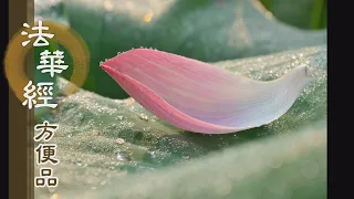 【靜思妙蓮華】法華經方便品第二 - 去除煩惱得無漏 - 第222集｜共修版