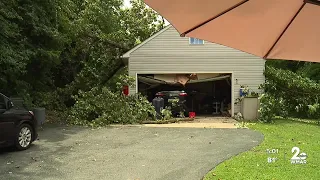 Anne Arundel County community sees home damage, downed trees
