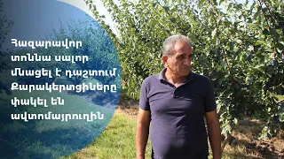 Հազարավոր տոննա սալոր մնացել է դաշտում․ Քարակերտցիները փակել են ավտոմայրուղին