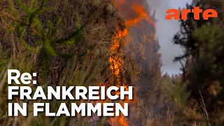 Megafeuer in Frankreich | ARTE Re: