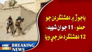 Bajaur mein dehshatgardan jo hamlo, 11 jawan shaheed, 12 dehshatgard marji wiya
