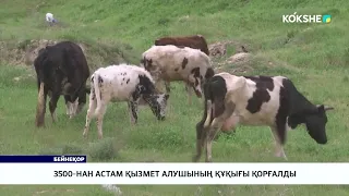 3500-нан астам қызмет алушының құқығы қорғалды