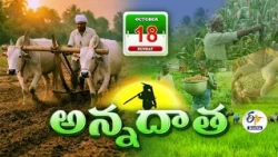 అన్నదాత | 18th October 2026 | Annadata | Full Bulletin | ETV Telangana