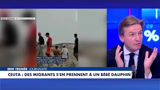Erik Tegnér: "This is barbaric behavior"