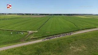 De 1e groep @ de klim van het Rode Klif tijdens de fietselfstedentocht 2026 [Dronebeelden]