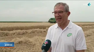 Ove godine se očekuje rast proizvodnje pšenice za 4,5 odsto u odnosu na 2024.