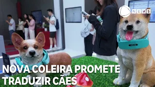 New collar promises to translate what dogs are trying to say