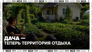 More and more Russians are turning their dachas into vacation spots - Moscow 24
