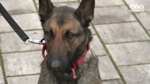 Bijeljina - Gorska služba spašavanja - Hit Televizija Brčko