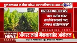 Buldhana : कर्मचाऱ्यांच्या हलगर्जीपणाचा कळस; शेतात हळद ऐवजी सोयाबीन असल्याची केली नोंद